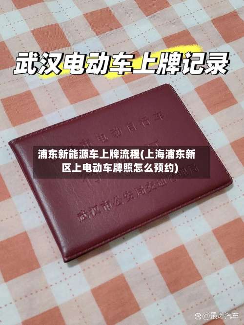 浦东新能源车上牌流程(上海浦东新区上电动车牌照怎么预约)-第2张图片