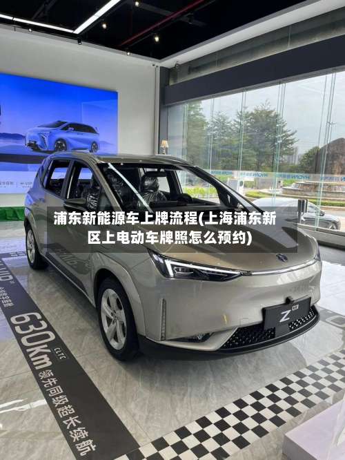 浦东新能源车上牌流程(上海浦东新区上电动车牌照怎么预约)