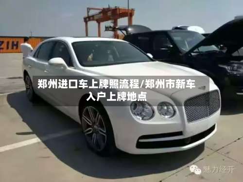 郑州进口车上牌照流程/郑州市新车入户上牌地点-第2张图片