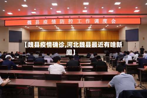 【魏县疫情确诊,河北魏县最近有啥新闻】-第2张图片