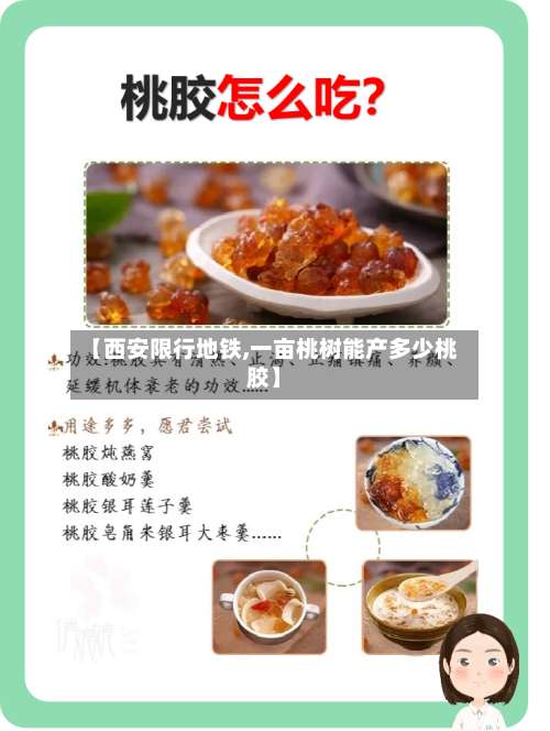 【西安限行地铁,一亩桃树能产多少桃胶】-第3张图片