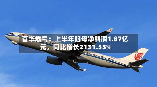 首华燃气：上半年归母净利润1.87亿元	，同比增长2131.55%-第2张图片