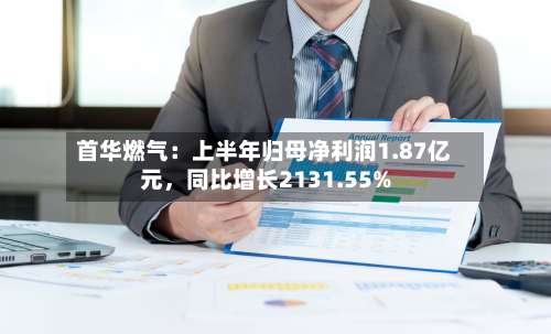 首华燃气：上半年归母净利润1.87亿元，同比增长2131.55%-第3张图片