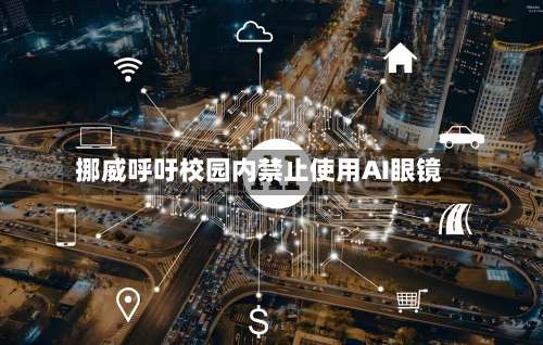 挪威呼吁校园内禁止使用AI眼镜