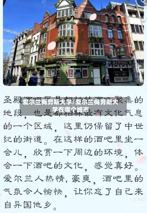 爱尔兰梅努斯大学/爱尔兰梅努斯大学在哪个城市