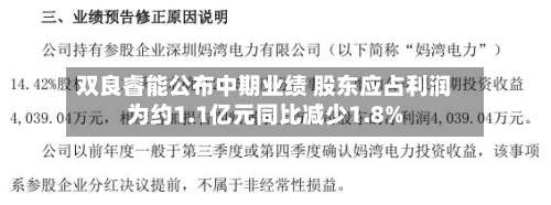 双良睿能公布中期业绩 股东应占利润为约1.1亿元同比减少1.8%-第2张图片