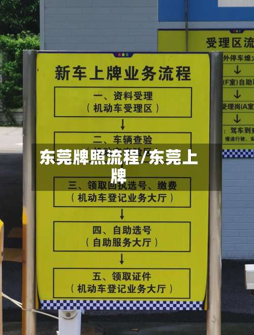东莞牌照流程/东莞上牌-第2张图片