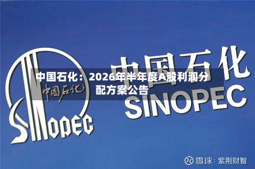 中国石化：2026年半年度A股利润分配方案公告