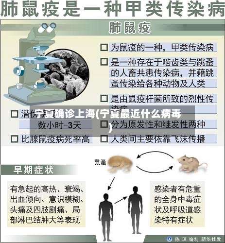 宁夏确诊上海(宁夏最近什么病毒)-第3张图片