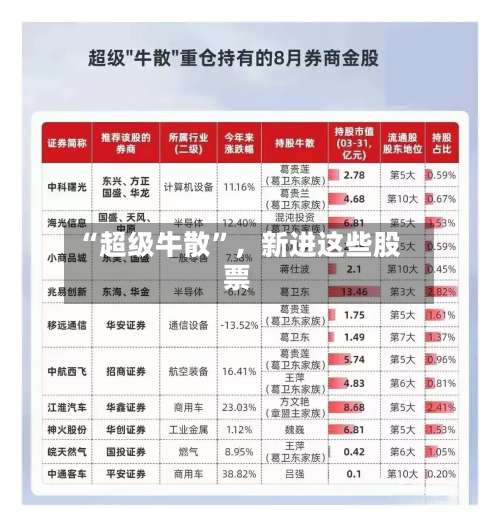 “超级牛散”，新进这些股票-第2张图片