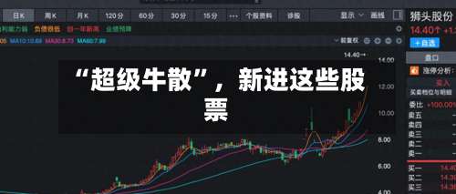 “超级牛散”	，新进这些股票-第3张图片