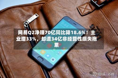 网易Q2净赚70亿同比降18.6%！主业增33%，却遭34亿非经营性损失拖累-第2张图片