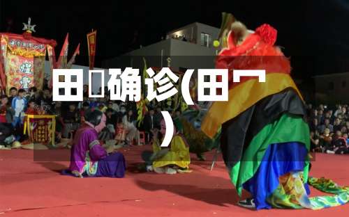 田墘确诊(田冖)-第2张图片