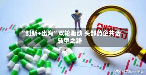 “创新+出海”双轮驱动 头部药企共话转型之路-第2张图片