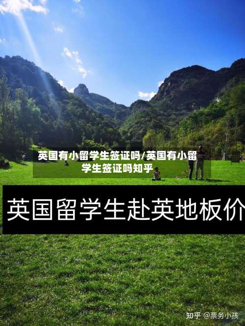 英国有小留学生签证吗/英国有小留学生签证吗知乎-第3张图片
