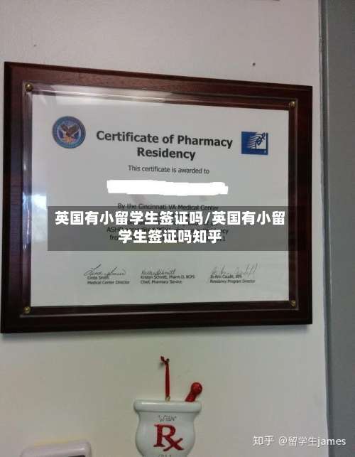 英国有小留学生签证吗/英国有小留学生签证吗知乎
