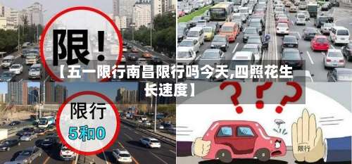 【五一限行南昌限行吗今天,四照花生长速度】
