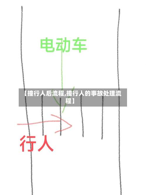 【撞行人后流程,撞行人的事故处理流程】-第2张图片