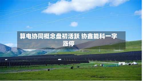 算电协同概念盘初活跃 协鑫能科一字涨停-第2张图片