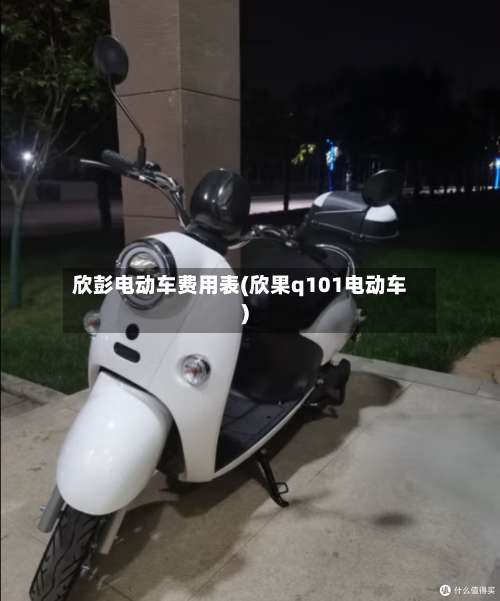 欣彭电动车费用表(欣果q101电动车)