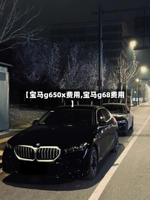 【宝马g650x费用,宝马g68费用】
