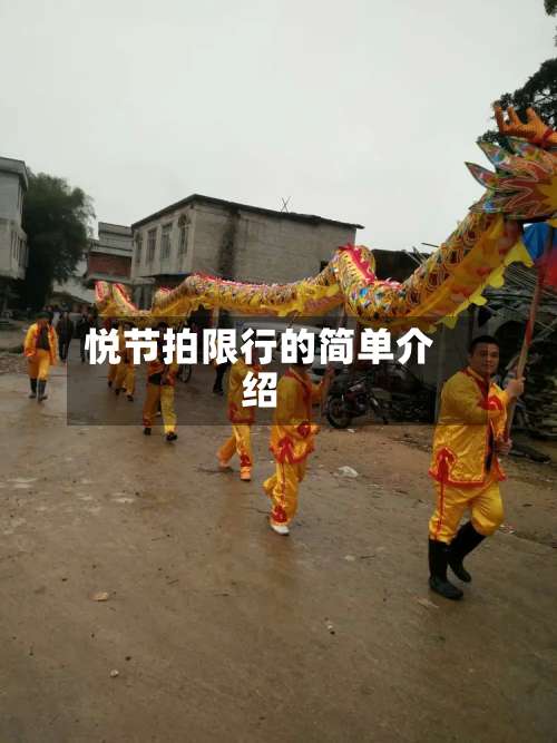 悦节拍限行的简单介绍