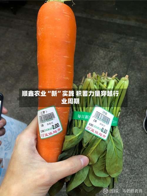 顺鑫农业“新”实践 积蓄力量穿越行业周期-第2张图片
