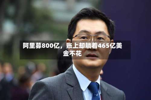 阿里募800亿，账上却躺着465亿美金不花-第3张图片