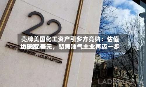 壳牌美国化工资产引多方竞购：估值比较高约80亿美元，聚焦油气主业再迈一步-第3张图片