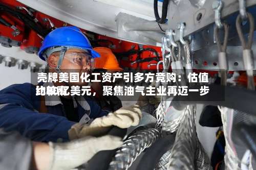 壳牌美国化工资产引多方竞购：估值比较高约80亿美元，聚焦油气主业再迈一步-第2张图片