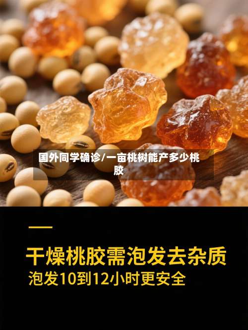 国外同学确诊/一亩桃树能产多少桃胶-第2张图片