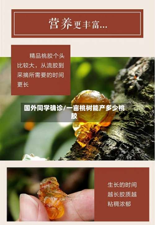 国外同学确诊/一亩桃树能产多少桃胶