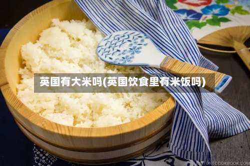 英国有大米吗(英国饮食里有米饭吗)