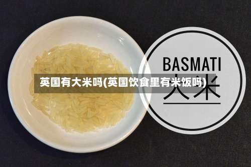 英国有大米吗(英国饮食里有米饭吗)-第3张图片