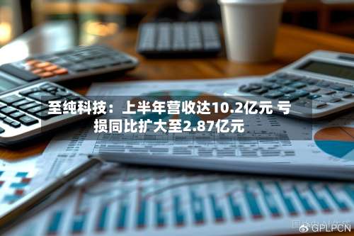 至纯科技:上半年营收达10.2亿元 亏损同比扩大至2.87亿元-第1张图片