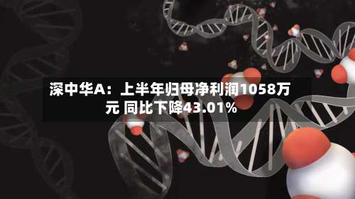 深中华A:上半年归母净利润1058万元 同比下降43.01%-第2张图片