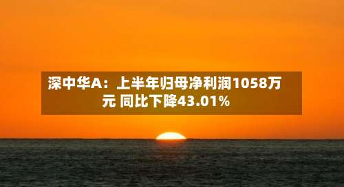 深中华A：上半年归母净利润1058万元 同比下降43.01%