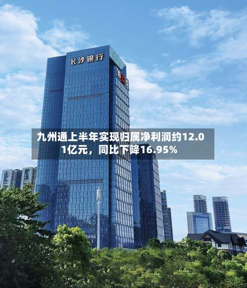 九州通上半年实现归属净利润约12.01亿元	，同比下降16.95%-第1张图片