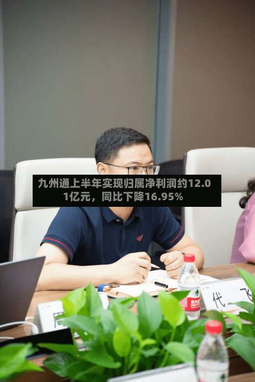 九州通上半年实现归属净利润约12.01亿元，同比下降16.95%-第2张图片