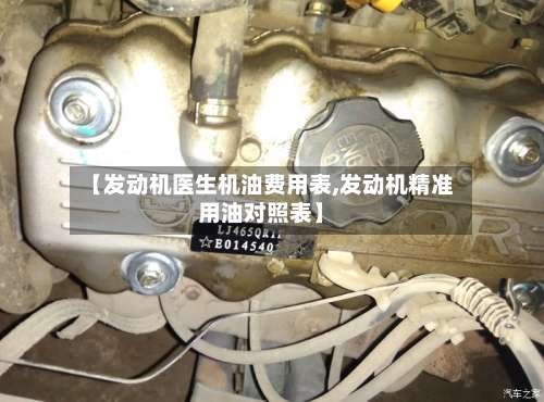 【发动机医生机油费用表,发动机精准用油对照表】-第3张图片