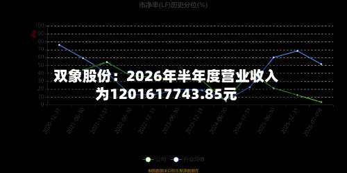 双象股份:2026年半年度营业收入为1201617743.85元-第1张图片