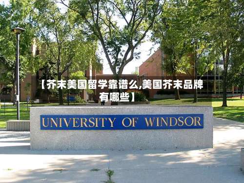 【芥末美国留学靠谱么,美国芥末品牌有哪些】