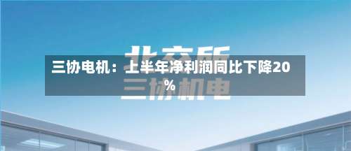 三协电机：上半年净利润同比下降20%-第1张图片
