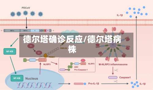 德尔塔确诊反应/德尔塔病株-第2张图片