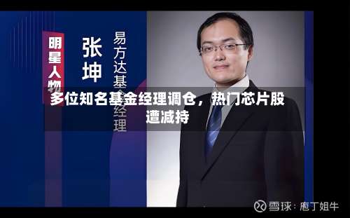 多位知名基金经理调仓，热门芯片股遭减持-第3张图片