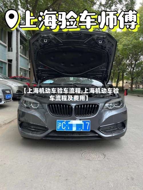 【上海机动车验车流程,上海机动车验车流程及费用】