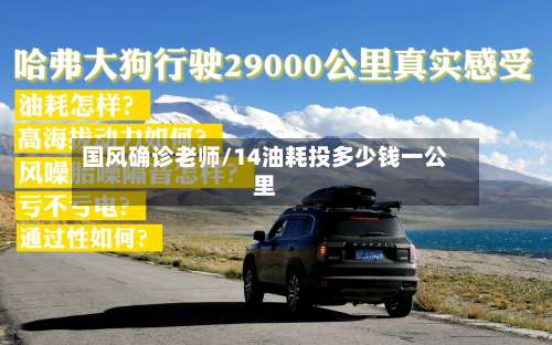 国风确诊老师/14油耗投多少钱一公里