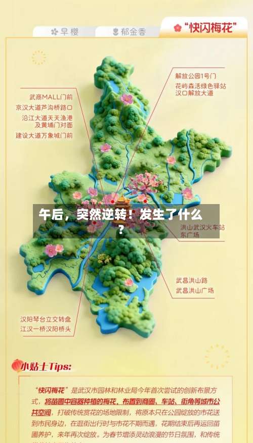 午后，突然逆转！发生了什么？-第2张图片