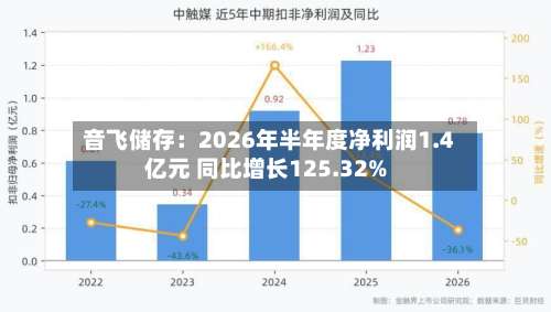 音飞储存：2026年半年度净利润1.4亿元 同比增长125.32%-第1张图片