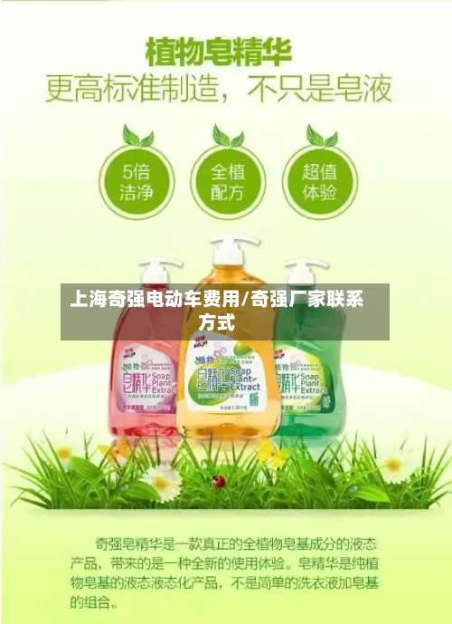 上海奇强电动车费用/奇强厂家联系方式-第2张图片